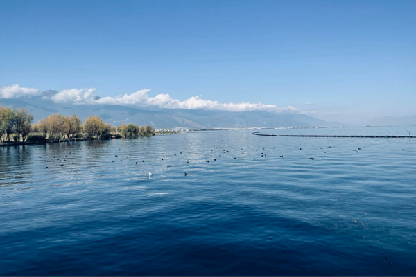 公司名字,公司起名,30個(gè)具有佛系禪意的公司名