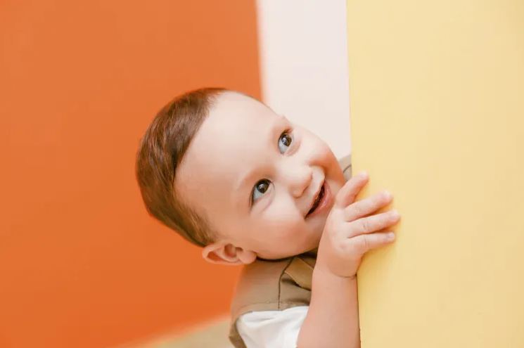 鴻字起名配什么字好？看看鴻字搭配大氣吉利的名字