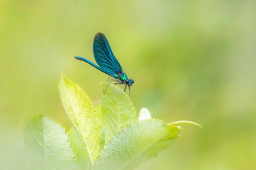 四字古風(fēng)游戲名推薦