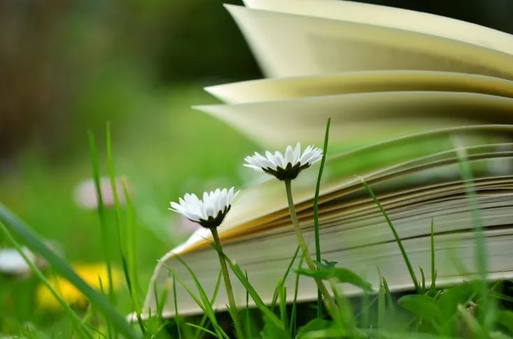 店鋪起名,2025必火餐飲名字快餐