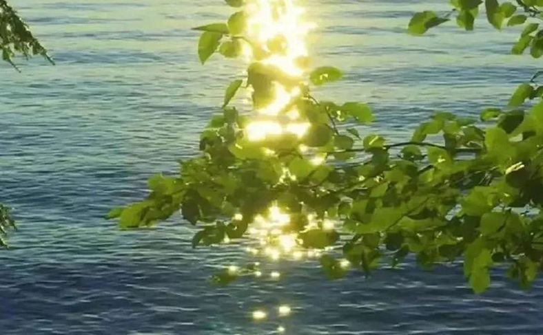 網(wǎng)名丨改個明媚生命力的ID