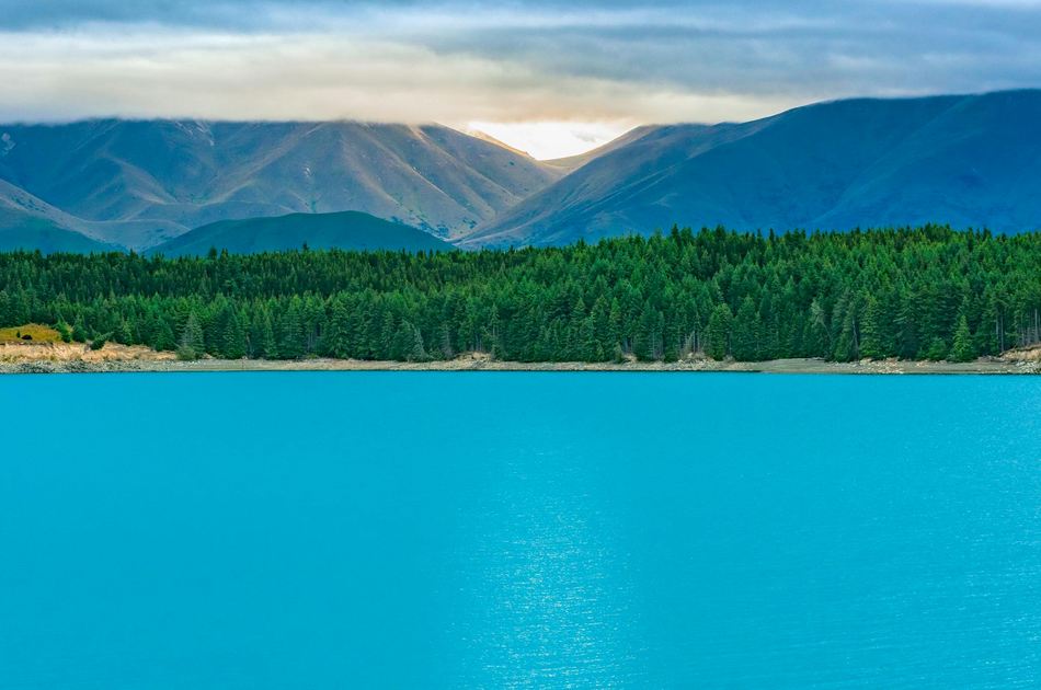 《梟起青壤》對(duì)抗路大女主聶九羅名字測(cè)試打分，解析~