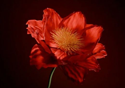 《時差一萬公里》男主付玉東名字測試打分，解析~