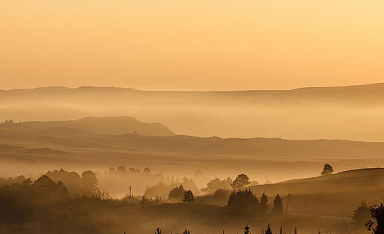 王姓寶寶取名大全，姓王的快收藏！