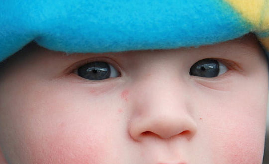 免費(fèi)在線測(cè)名；趙高姓名詳解