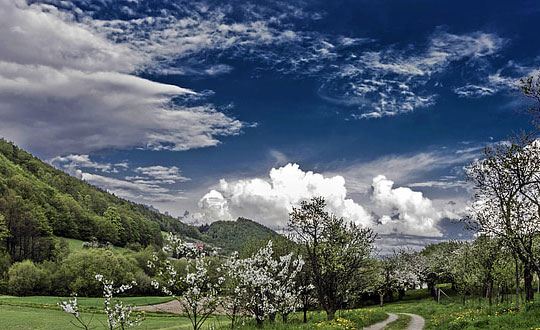 八字起名需要注意的四個(gè)問題