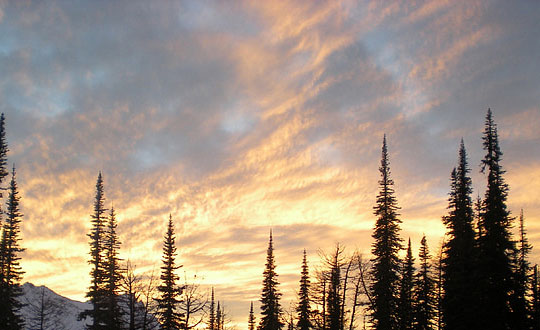 經(jīng)典男個性好聽最流行的男生微信名字