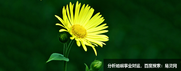 新生兒起名字生辰八字起名免費(fèi)