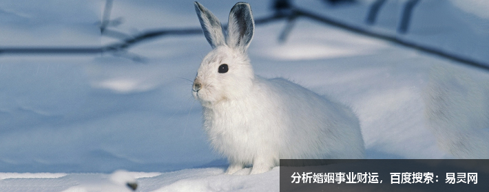 寶藏男孩胡歌，胡歌這個(gè)名字打分，解析