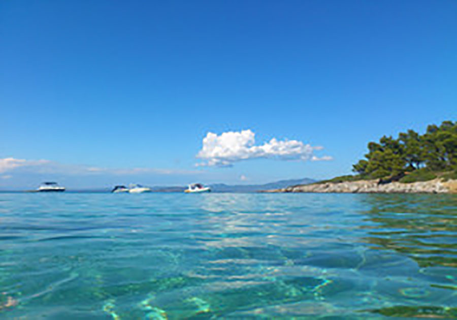 什么店名好聽(tīng)又吸引人網(wǎng)店名字