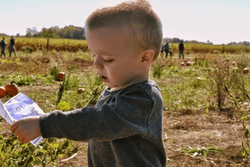 男孩名字大全2022最新版的屬虎