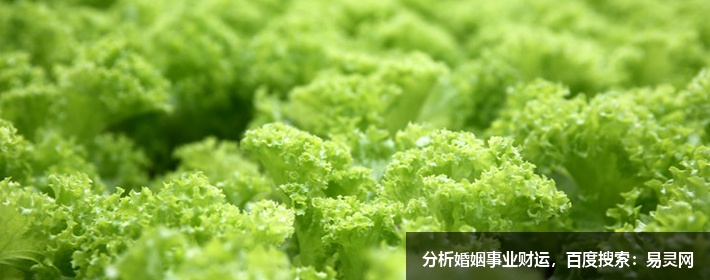 互聯(lián)網(wǎng)公司創(chuàng)意名字大全，獨(dú)特好聽(tīng)?wèi)?yīng)有盡有